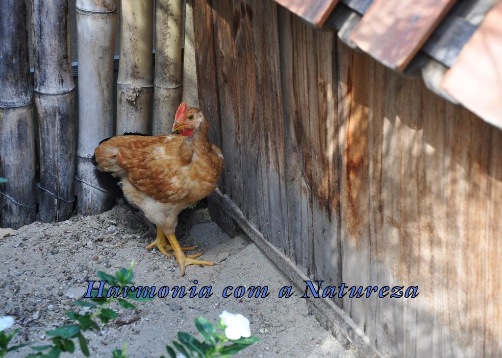 Pousada E Restaurante Do Gordo Hotel Bonito  Exterior foto